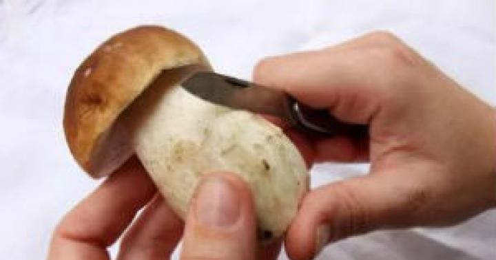 Какие грибы можно сушить в домашних условиях